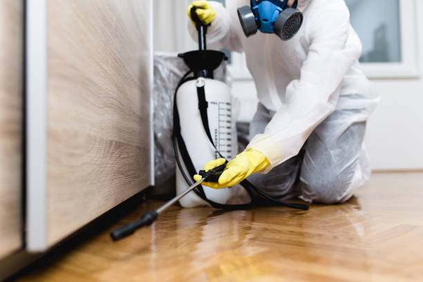 Best Best Pest Control Companies  in Rancho Laveras, CA