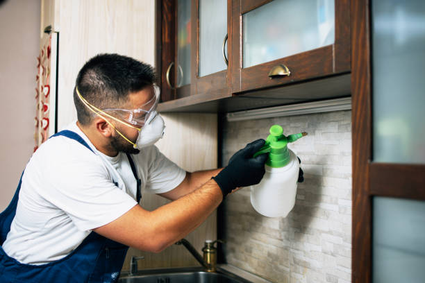 Best Wasp Removal Services  in Rancho Laveras, CA