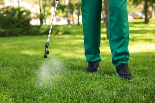 Best Pest Removal Services  in Rancho Laveras, CA