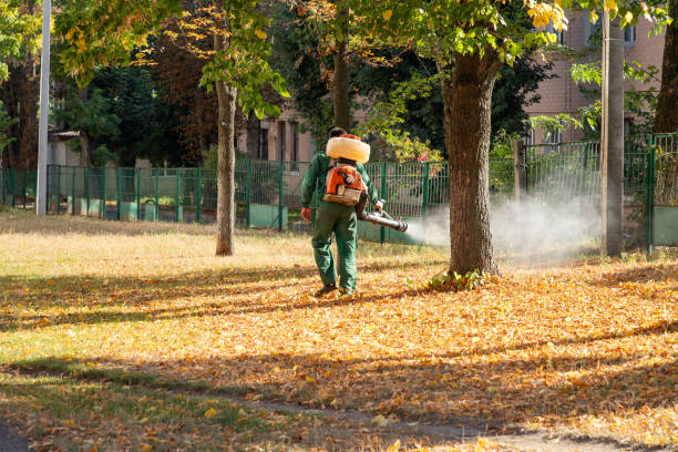 Best Best Pest Control Companies  in Rancho Laveras, CA