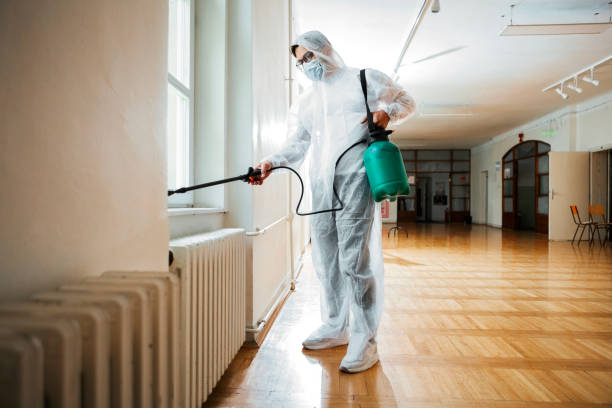Reliable Rancho Calaveras, CA Pest Control Solutions