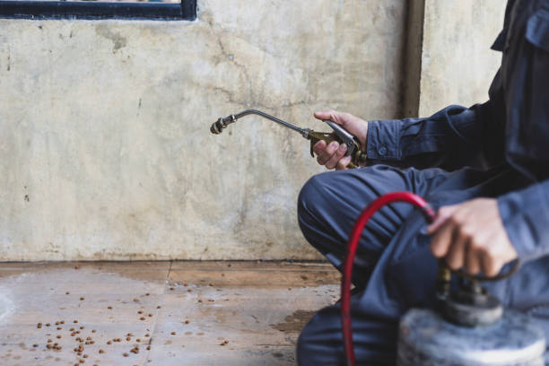 Best Best Pest Control Companies  in Rancho Laveras, CA